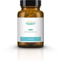 SAM S-ADENOSYLMETHIONIN kapslar, 60 st