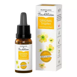BACHBLÜTEN Murnauers originaldroppar, 10 ml