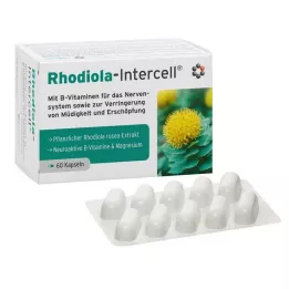 RHODIOLA-INTERCELL kapslar, 60 st