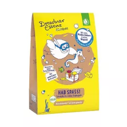 Dresdner Essenz DreckSpatz Schatzkiste har kul, 1 st