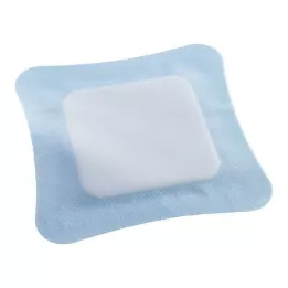 VLIWASORB Pro superabsorbent komp steril 22x22 cm, 10 st