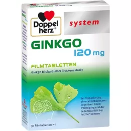 DOPPELHERZ Ginkgo 120 mg systemfilm -belagda tabletter, 30 st