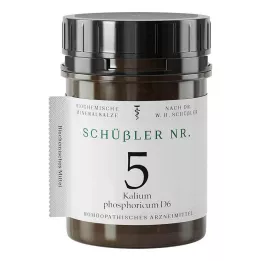 SCHÜSSLER Nr 5 Kalium phosphoricum D 6 tabletter, 1000 st