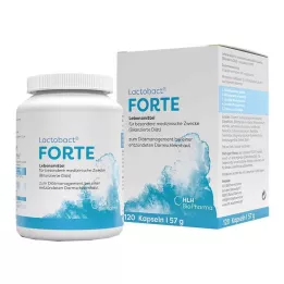 LACTOBACT Forte gastroresistenta kapslar, 120 st