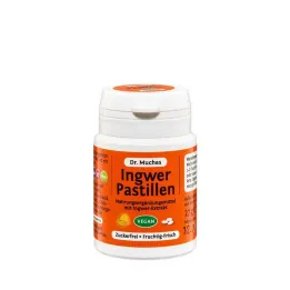 Ingefärapastiller Dr.Muches sockerfri, 27 g