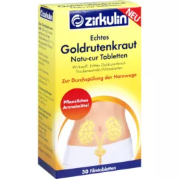 Zirkulin Äkta guld roterande natur · Cur tabletter, 30 st