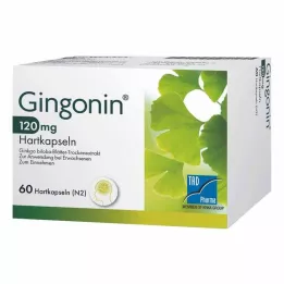 GINGONIN 120 mg hårda kapslar, 60 st