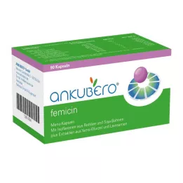 Ankubero FEMICIN kapslar, 90 st