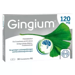 GINGIUM 120 mg filmdragerade tabletter, 30 st
