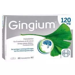 GINGIUM 120 mg filmdragerade tabletter, 60 st
