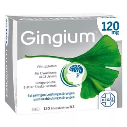 GINGIUM 120 mg filmdragerade tabletter, 120 st