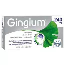 GINGIUM 240 mg filmdragerade tabletter, 40 st