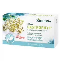 SIDROGA GastroPhyt 250 mg filmdragerade tabletter, 30 st