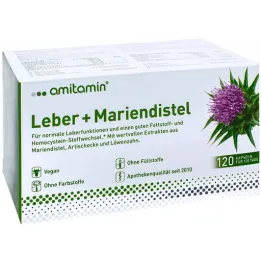 Amitamin mjölktistel + leverkapslar (120 stycken)
