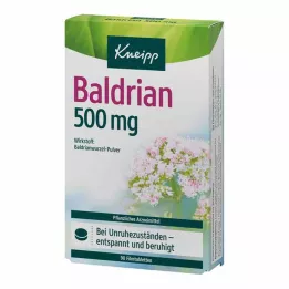 KNEIPP Valeriana 500 mg filmdragerade tabletter, 90 st