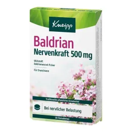 Kneipp Valerian Nerve Power 500 mg filmdragerade tabletter, 30 st